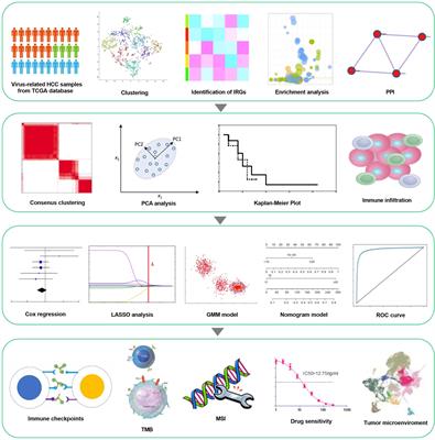 An inflammation-related gene landscape predicts prognosis and response to immunotherapy in virus-associated hepatocellular carcinoma